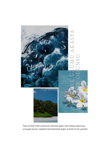 Dashu Acqua Dive Unisex Parfüm 50 ML