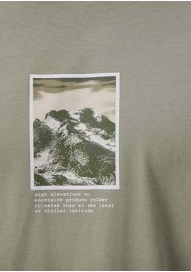 Mavi Polo-mineral Yeşil