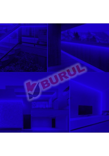 Sb-6509 5 Metre Mavi Işık Neon Led Şerit Dış Mekan Silikonlu Esnek Dekoratif Aydınlatma 220v Fişli