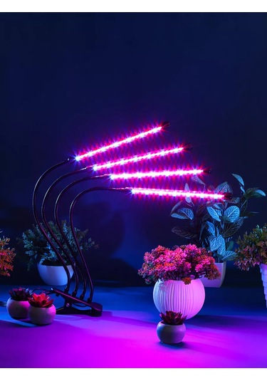 Miland Bitkiler Ve Fideler İçin Fitoluk 205302402 Violet