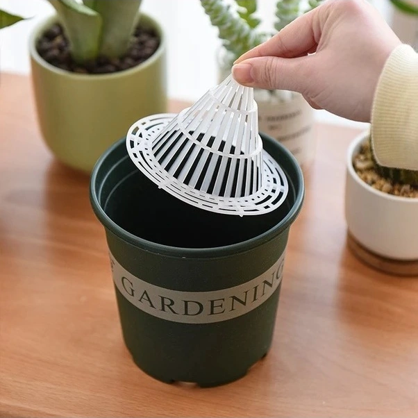 Trendooze Şeffaf Saksı Taban Filesi, 20 Adet, Sukulent Kök Koruma