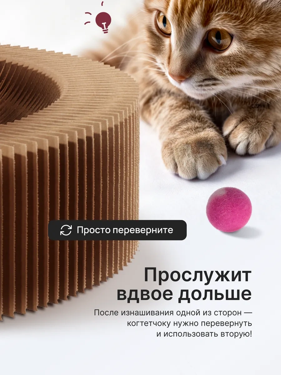 Kogtedralka Kediler İçin Zeminli 5 Toplu Tırmalama Direği, Yatak, 2 Adet. 316867676