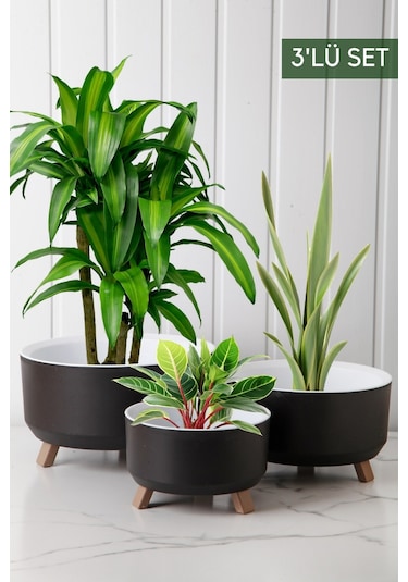 Nandy Home Tripot Model 3'lü Saksı Seti Siyah