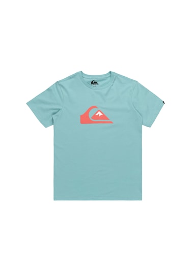 Quiksilver Quıksılver Comp Logo Ss Yth Bha0 Çok Renkli