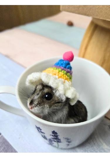 Moonx Renkli Hamster Şapkası. 272413531