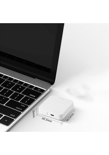 Pazly Suntek Mini Hub Geçidi - Evrensel Ev Aletleri Ve Ağ Bağlantı Cihazı Zj