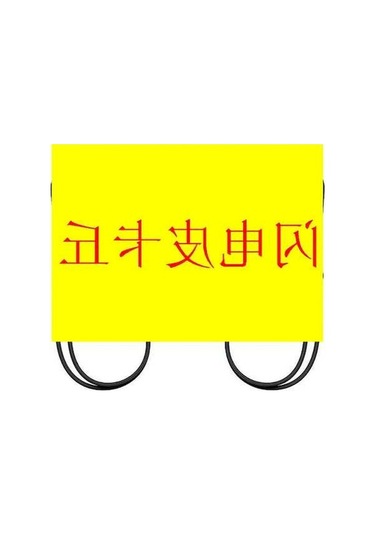 Bloomnest Joycon Oyun Kumandası Sol Sağ Kablosuz Bluetooth Uyandırma Kayışı Anahtar Kulp Lightning