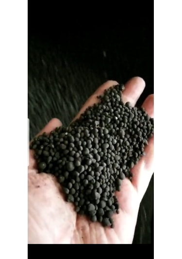 İthal 7 Karışımlı Çim Tohumu - 10 Kg + Ekim Öncesi Çim Gübresi -