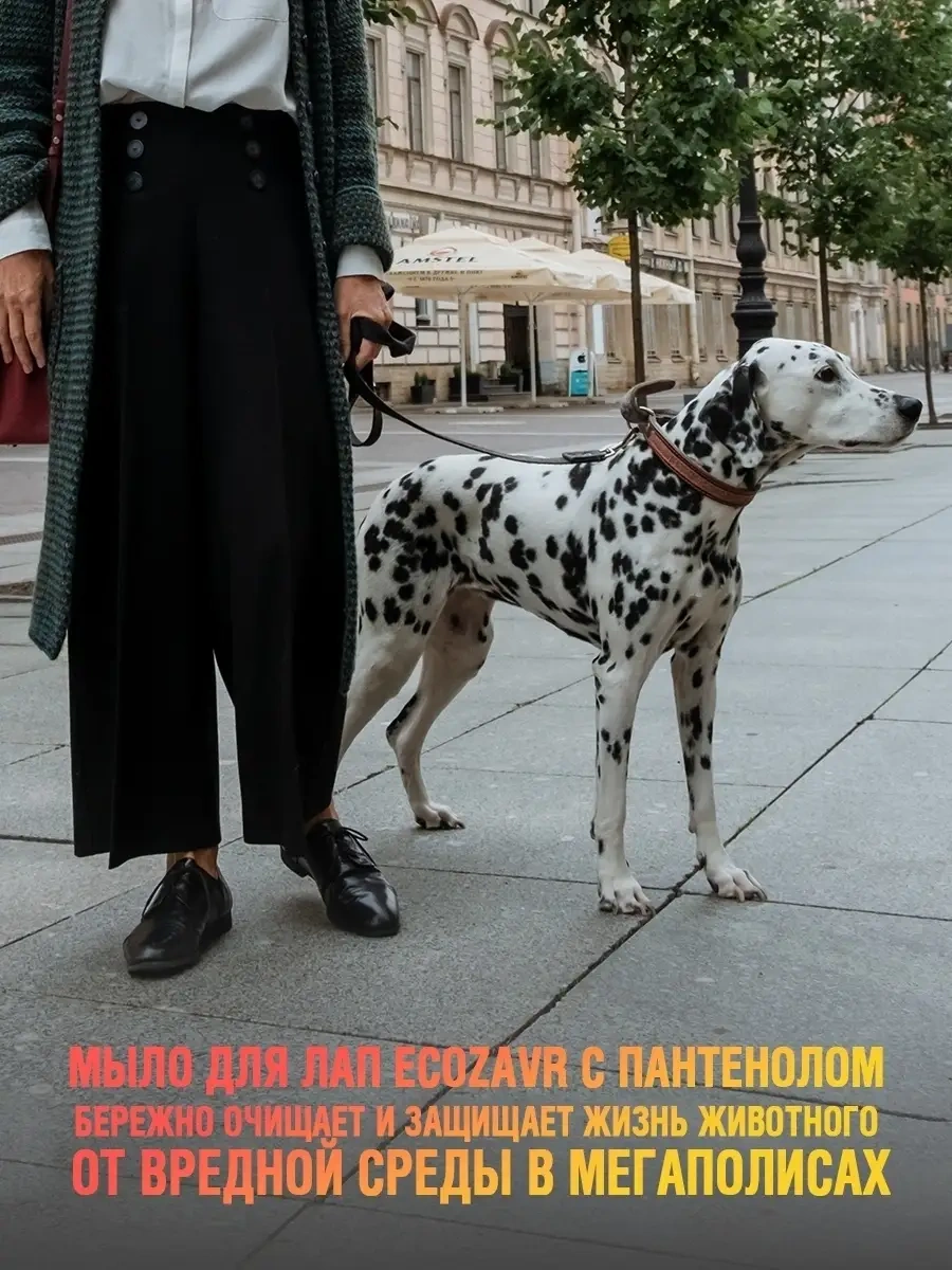 Ecozavr Kokusuz, Pantenol İçeren Eko Köpek Sabunu 500 Ml. 77484498