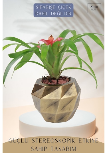 Çiçek Saksısı Dekoratif Kaktüs Saksı 1 Adet Dönen Poly Model - Altın Eskitme