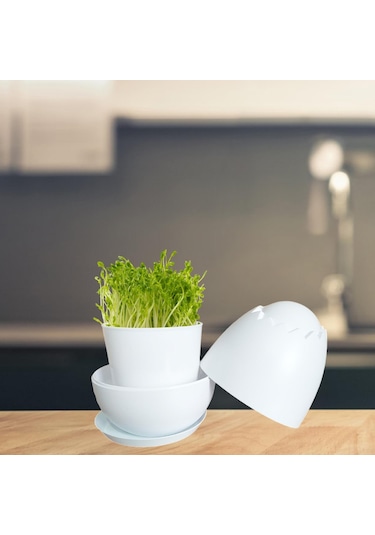 Suntek Tohum Filizleme Kabı Bezelye Bahçesi Kapaklı Depolama