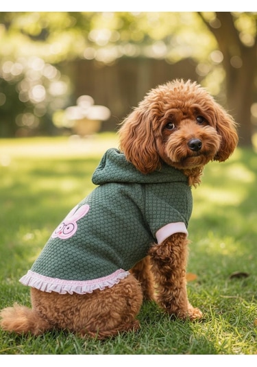 Bunnypop Kapüşonlu Köpek Elbisesi Yeşil Pembe