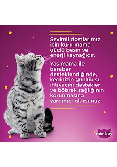 Whiskas Pouch Sos İçinde Somonlu Yetişkin Kedi Konservesi 28 x 85 G