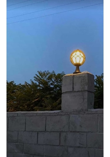 Set Üstü Papatya 1. Kalite Plastik Bahçe Duvar Aydınlatma Armatürü Diğer