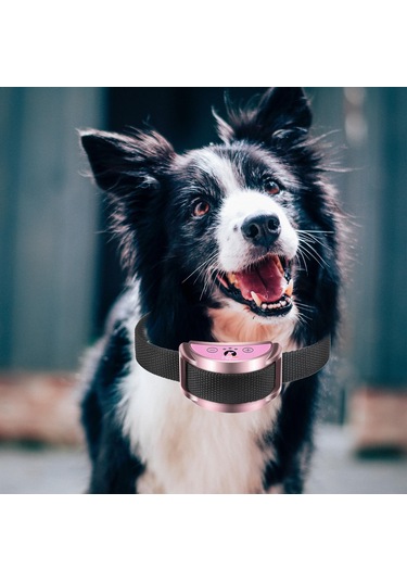 Suntek Köpek Çağrı Tasması Karşıtı Eğitim 7 Pembe