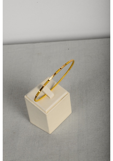 Risegold 10 Gram 22 Ayar Ajda Bilezik İşçiliksiz