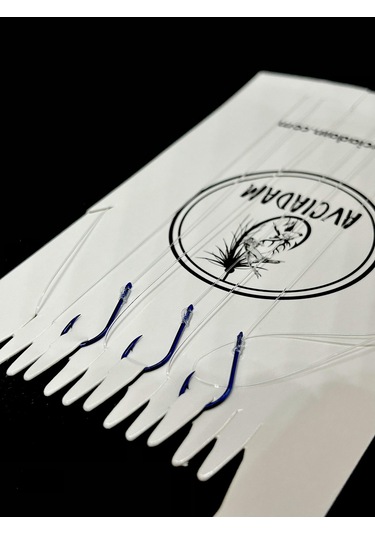 Dip Oltası Hırsızlı Avcıadam