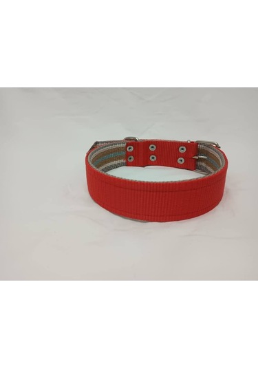 Kozaklı 10479 Büyük Irk Köpek Tasması Kırmızı 70 x 4 CM Kırmızı