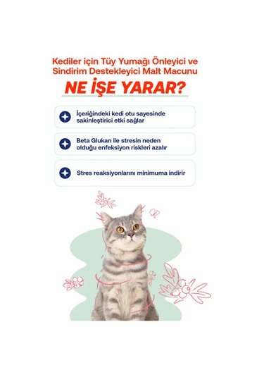 Biofeline Kediler İçin Rahatlatıcı Etkili Malt Macunu 100 G