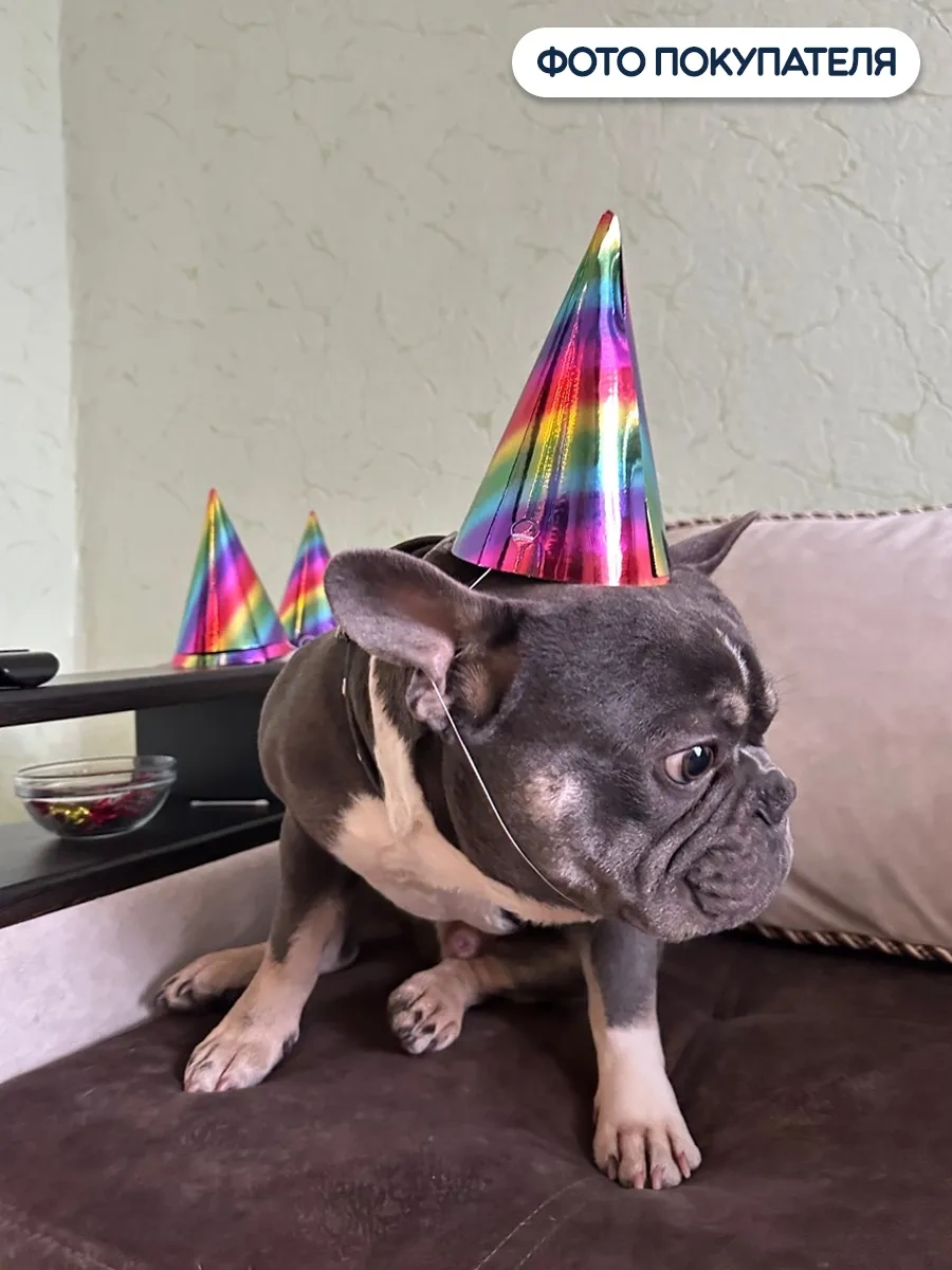 Riota Doğum Günü İçin Parti Şapkaları 6 Adet 140340745