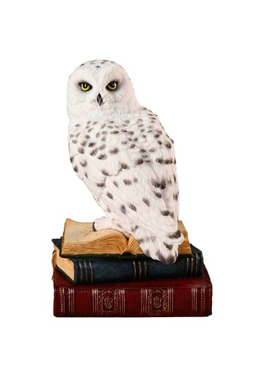 Kitap Üzerinde Beyaz Kar Baykuşu Hedwig Biblosu - Harry Potter