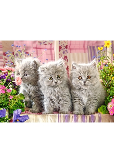 Castorland 260 Parça Three Grey Kittens Puzzle