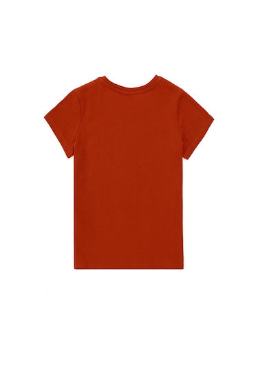 U.s. Polo Assn. Erkek Çocuk Kiremit Tişört 50298086-vr031 Kiremit