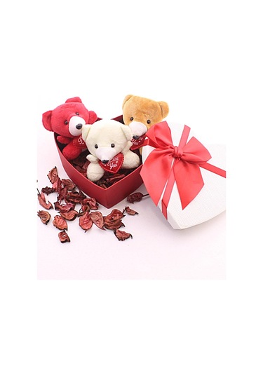 Kalp Kutuda Mini Ayıcıklar Hediye Seti Sevgiliye Eşe Sürpriz Sevgiliye Hediye Strglbl75