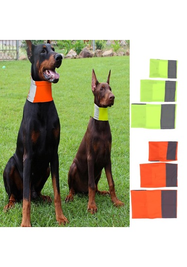 Homyl Pet Köpek Kedi Yansıtıcı Yaka Yavru Emniyet Boyun Askısı Sarı