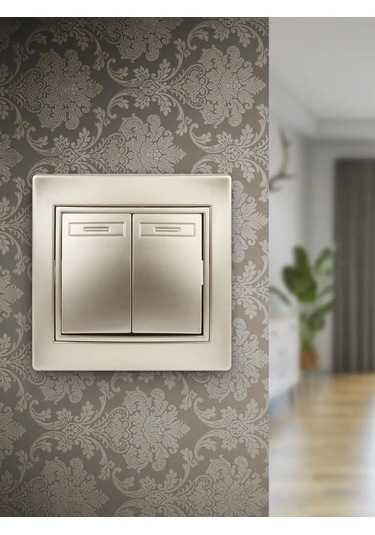 Intro Plano 250v Çift Anahtarlı Anahtar 123678426