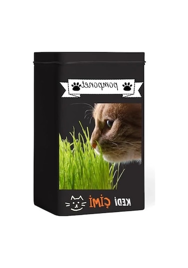 Yıl Boyu Yeşil Kedi Çimi - Pomponet