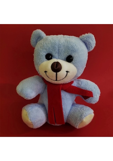 Mavi Peluş Ayı Çok Renkli