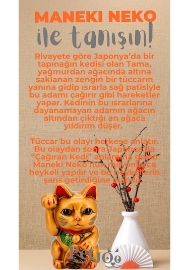 Petjoo 4.Maneki Neko Gri-Turuncu Qr'lı Kedi Künyesi