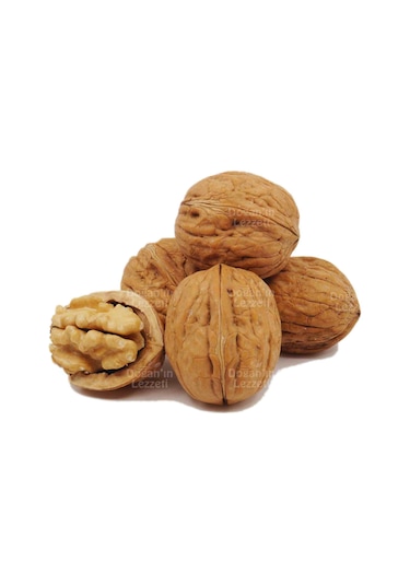 Doğan'ın Lezzeti Kabuklu Ceviz 1 KG