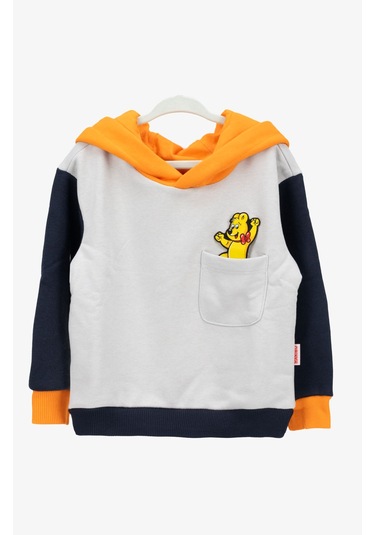 Haribo 320 Erkek Çocuk Gri Sweat Gri