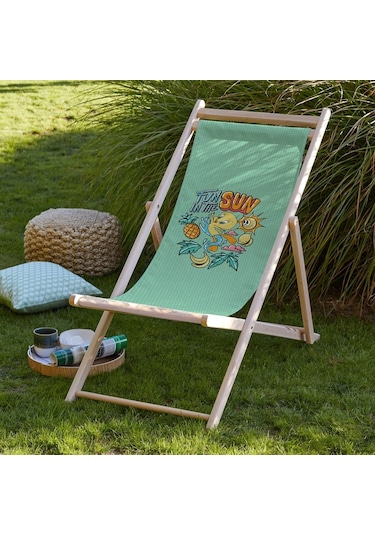 Bluehomeconcept Adawall Home Fun In The Sun Looney Tunes Şezlong