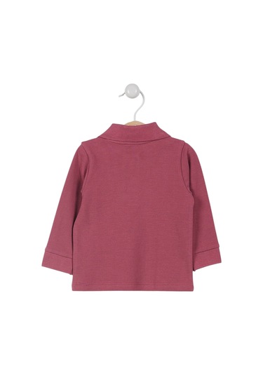 U.S. Polo Assn. Lisanslı Classic Bebek Uzun Kol Yakalı Sweatshirt Gül Kurusu