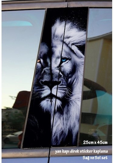 Aslan Oto Folyo Baskı Kaplama Araba Kapı Sticker Set