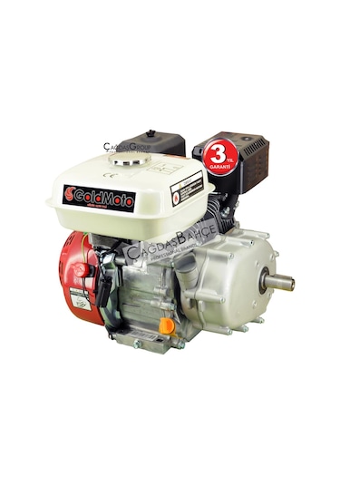 Goldmoto Gm200G Benzinli Motor Gokart 6.5 Hp İpli