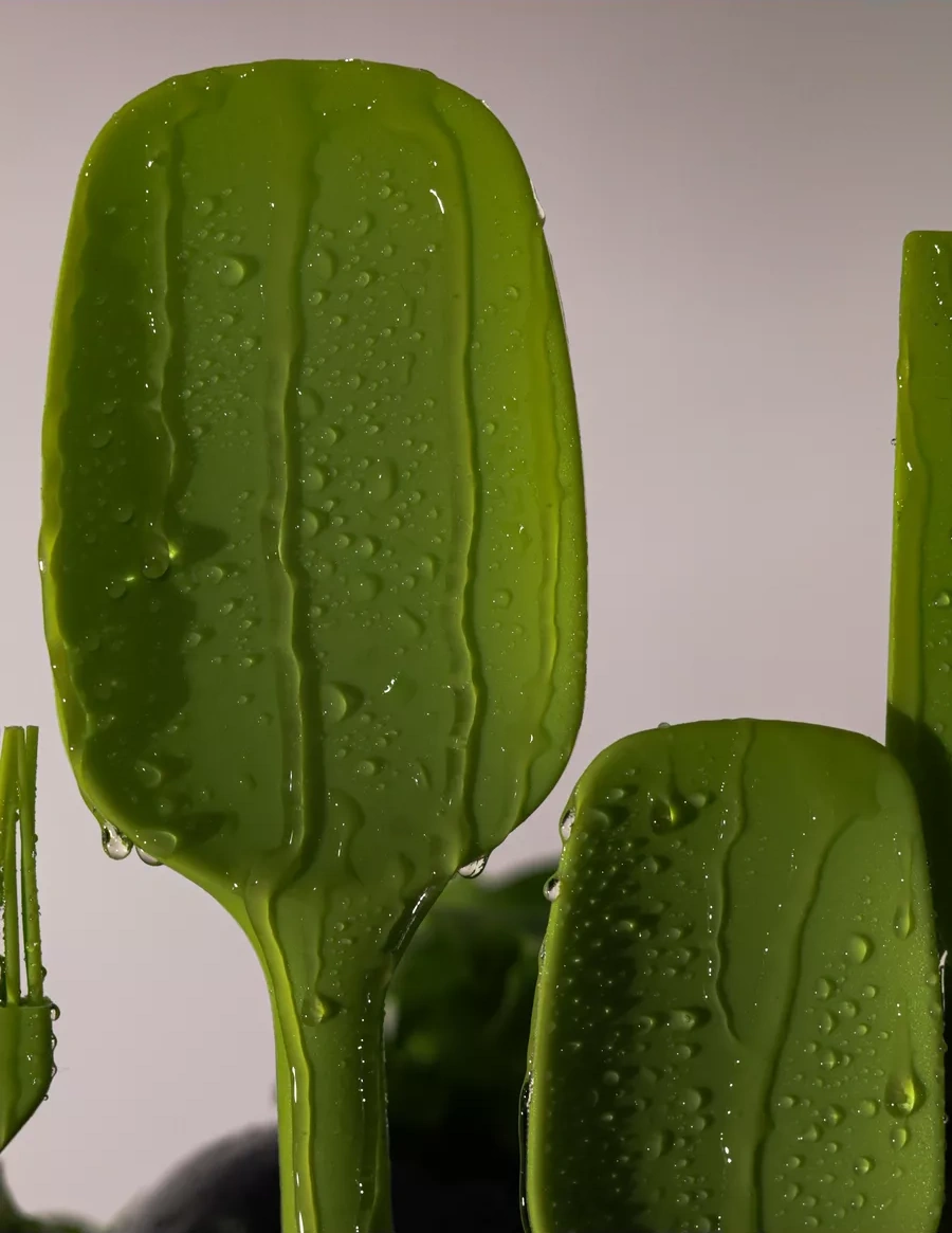 Zubnova Mutfak Spatula Seti 224037282 Yeşil