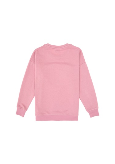 U.s. Polo Assn. Kız Çocuk Gül Kurusu Pijama Takım 50318951-vr026 Gul Kurusu U.s. Polo Assn. Kız Çocuk Gül Kurusu Pijama Takım 50318951-vr026 Gul Kurusu