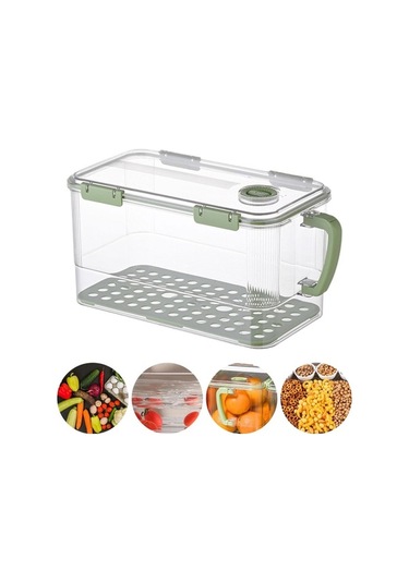 Pazly Yumurta Suntek Kutusu İçin Gıda Ev Dolabı Depolama Ef Yeşil