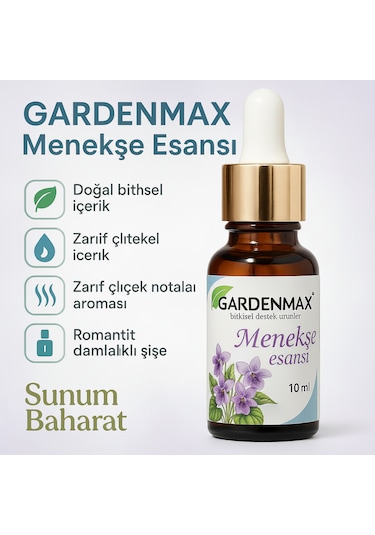 Buhurdanlık Esasnsı Menekşe Menekşe