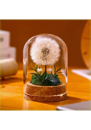 Mantar Tabanlı Sonsuz Karahindiba Cam Kubbe Süsü Yeşil