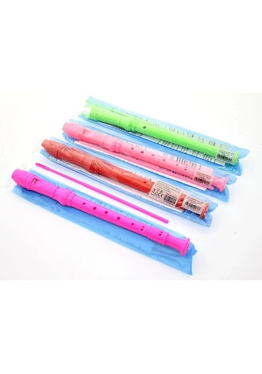 Renkli Plastik Flüt Alk2135