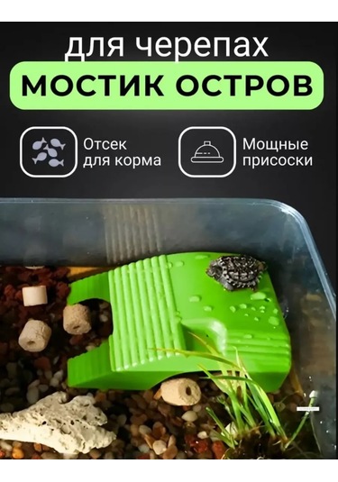 Only Hıts Kaplumbağa Köprüsü Kaplumbağalar İçin Köprü Kaplumbağa Şamandırası 244861504