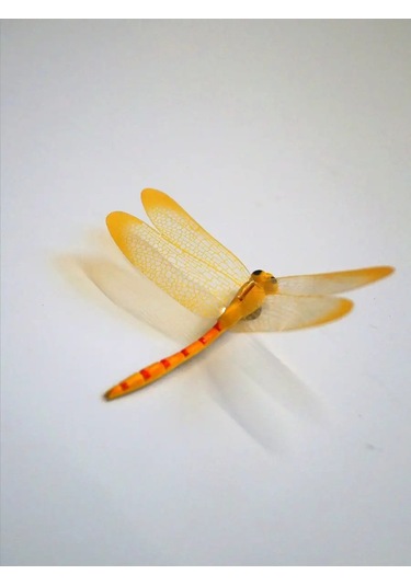 Luce St Buzdolabı Dekoru İçin 8 Parça 8.5 Cm Yusufçuk Mıknatısı Seti. 153978399