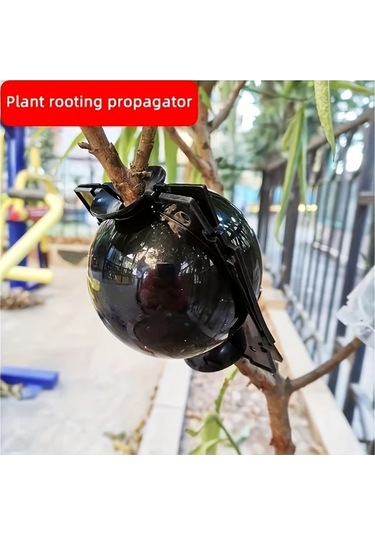 Willowhaven 10 Adet Büyük Siyah Kök Kutusu 20 Bağ Teli Seti Bahçe Çoğaltma Ve Aşılama