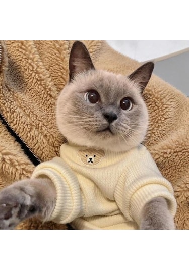 Evcil Hayvan Giysileri Sevimli Ayı Tasarımı 2 Bacaklı Yüksek Streç Kolay Giyilebilir Yumuşak Rahat Sıcak Kedi Kazak