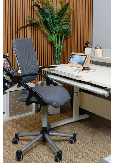 Creo Mobili Yükseklik Ayarlı Vega Plus Çalışma Sandalyesi, Ofis Ve Bilgisayar Koltuğu Antrasit/gri Gri